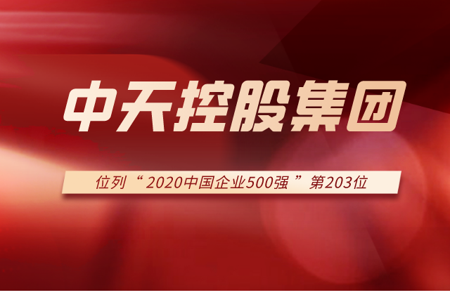 evo视讯集团列2020中国企业500强第203位！
